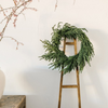 Real Touch Norfolk Pine Wreath - 24"