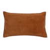 The Ellison Pillow