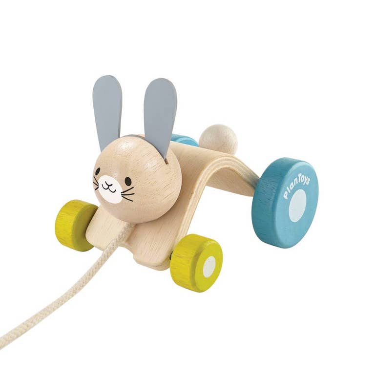 Wooden Hopping Rabbit