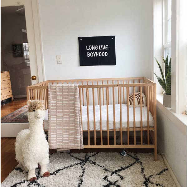 Long Live Boyhood Banner